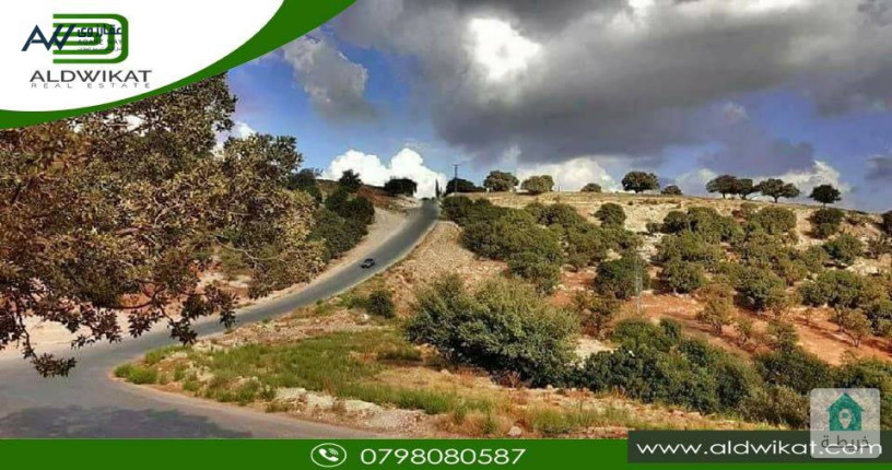 ard-mmyz-llbyaa-fy-tl-alrman-bmsah-9500-m-big-0