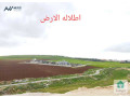arad-llbyaa-fy-klb-aaman-loaaa-naaaor-am-albsatyn-small-1