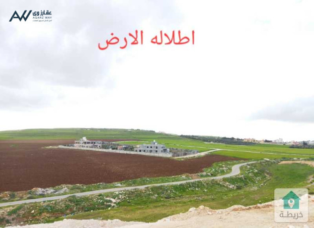 arad-llbyaa-fy-klb-aaman-loaaa-naaaor-am-albsatyn-big-1