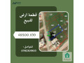 ktaa-ard-llbyaa-fy-arbd-aydon-masy-krn-algamos-small-0
