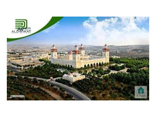 أرض للبيع في دابوق - الذهيبة - مساحة 4 دونم