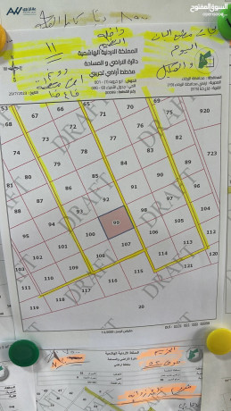 11-donm-ard-llbyaa-fy-alzrkaaa-kaaa-khna-big-0