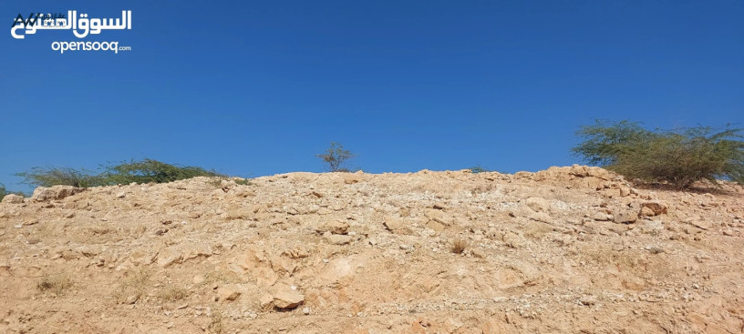 ard-llbyaa-mn-almalk-mbashr-fy-alghor-big-1