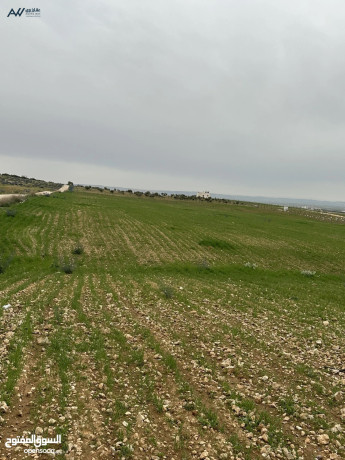 frs-rayaa-lshraaa-ard-mfroz-bsaar-mmyz-22000-dynar-lkaml-alktaa-big-0