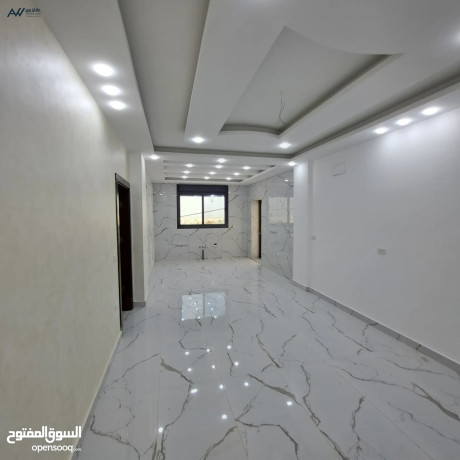 shk-150-mtr-llbyaa-fy-alhsn-tshtybat-mmyzh-o-akl-saar-mn-almalk-mbashrh-big-2