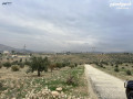 ard-3400m2-llbyaa-srot-hod-hdd-mshgr-zyton-bsaar-mmyz-mn-almalk-mbashr-small-0