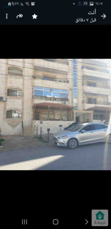 shk-ardy-llbyaa-fy-alzrkaaa-algdyd-mn-almalk-big-0