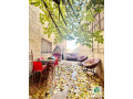 shk-ardy-llbyaa-fy-dyr-ghbar-small-1