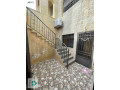 shk-llbyaa-fy-dahy-alaks-mkabl-mstshf-alamyr-hmz-small-0