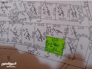 ارض للبيع في ناعور 743m من المالك ش12 مستوية منتظمة الشكل جميع الخدمات تبعد عن الدوار7 18 دقيقة