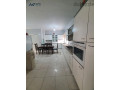 llbyaa-shk-286m-tabky-fy-algardnz-khlf-alsroat-5nom-small-0