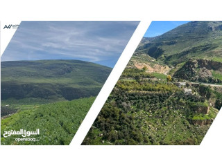 ارض للبيع في وادي شعيب مطله على السيل مساحتها 4000م