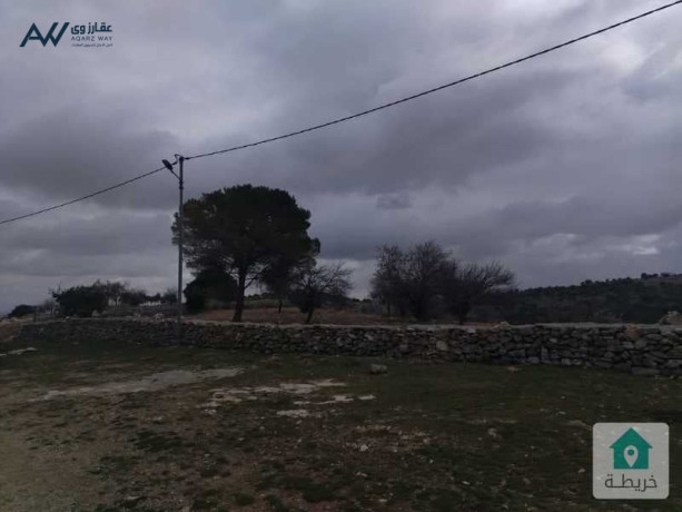 ktaa-ard-mn-arady-aaglon-skhrh-msah21donm-msnslh-mzroaah-loz-ozytonyogd-fyha-ghrfh-omtbkh-ohmam-obyr-big-1