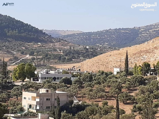 mnzl-thlath-toabk-tsoyh-maa-ard-aalyha-zyton-olymon-oboml-brtkal-gofh-llbyaa-big-2