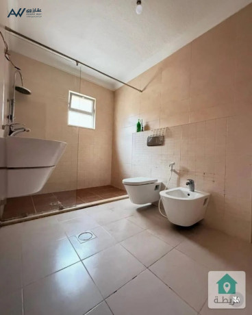 shk-doblks-llbyaa-fy-alnkhyl-big-3