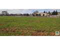 ard-llbyaa-fy-shfa-bdran-mrg-alfrs-krb-doar-altrkhys-small-3