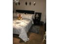 shk-astthmary-balkrb-mn-alsfar-alamryky-llbyaa-14233-small-0