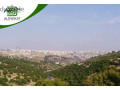 ard-llbyaa-fy-alkrsy-algndoyl-bmsah-922m-small-0