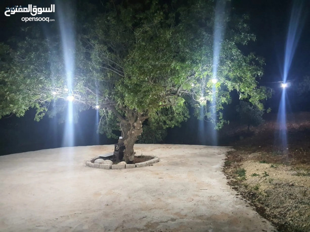 ard-llbyaa-fy-alslt-alsbyhy-atlalh-ghrbyh-mmyzh-gda-big-2