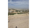 baaal-mtl-oakl-saar-hod-31-khlaya-oady-alaayn-msah-alshkfh-828-m2-oagh-alktaah-24-m-bsaar-mghry-gda-gda-m-small-1