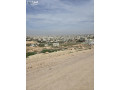 baaal-mtl-oakl-saar-hod-31-khlaya-oady-alaayn-msah-alshkfh-828-m2-oagh-alktaah-24-m-bsaar-mghry-gda-gda-m-small-0