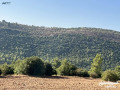 ard-msahtha-1800-mtr-dakhl-ghab-aaglon-small-0