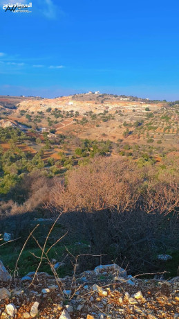 ktaa-ard-llbyaa-that-atlalh-khlab-mstslhh-bsaar-mghry-big-0