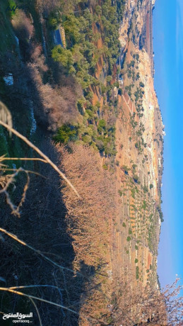 ktaa-ard-llbyaa-that-atlalh-khlab-mstslhh-bsaar-mghry-big-1