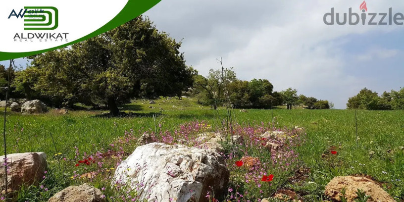 ard-llbyaa-fy-albhath-oady-alshta-msah-alard-1958-m-big-0