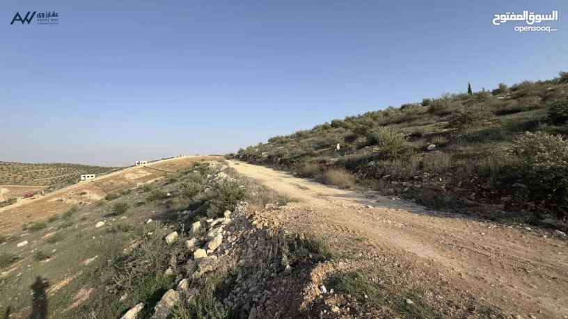 ard-mmyz-llbyaa-fy-almfrk-dhl-hod-mdk-alryk-atlal-khlab-ofrs-astthmary-rayaa-big-1