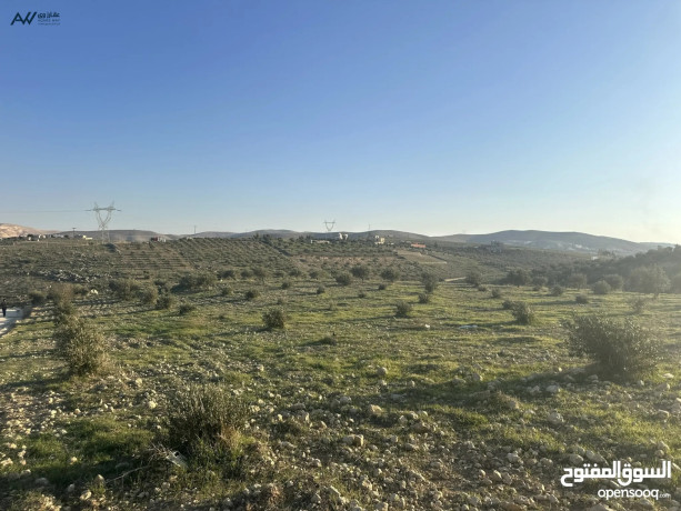ard-3400m2-llbyaa-srot-hod-hdd-mshgr-zyton-bsaar-mmyz-mn-almalk-mbashr-big-0