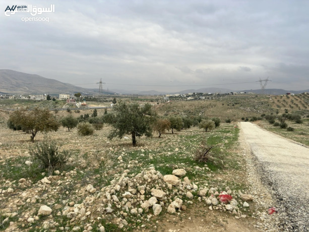 ard-3400m2-llbyaa-srot-hod-hdd-mshgr-zyton-bsaar-mmyz-mn-almalk-mbashr-big-1