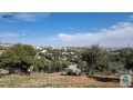 ard-lkt-llbyaa-fy-bdr-algdyd-hod-almysr-mn-almalk-mbashr-small-0