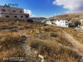 ard-llbyaa-fy-byryn-krb-albldy-small-1