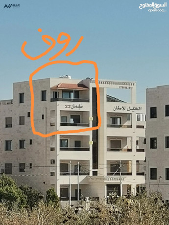 roof-doblks-220m-fakhr-gda-llbyaa-gnob-klyh-altb-lgamaah-oghrb-doar-alloazm-lgamaah-khlf-sydlyh-alrazy-big-0