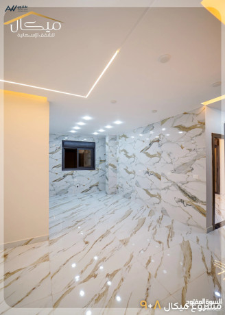 shk-sobr-dyloks-tshtybat-fll-bmsah-125m-tabk-aol-fy-alzrkaaa-algdyd-gbl-almghyr-llbyaa-big-2