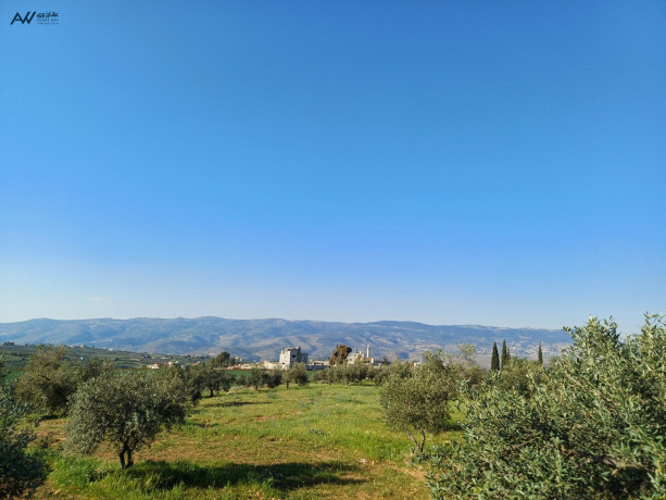 ard-mmyz-llbyaa-fy-alslt-alsbyhy-big-4