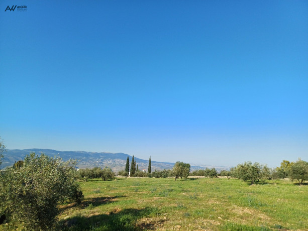 ard-mmyz-llbyaa-fy-alslt-alsbyhy-big-0