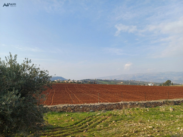 ard-mmyz-llbyaa-fy-alslt-alsbyhy-big-3