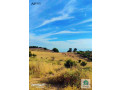 arady-ghrb-aaman-bdr-algdyd-atlal-ghrby-mn-almalk-mbashr-bdon-aamolat-small-0