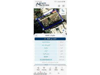 صافوط ، ضاحية الغزالي