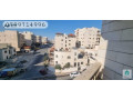 llbyaa-shk-mmyz-fy-aaman-dahy-alfar-o-balkrb-mn-doar-albnzyn-small-0