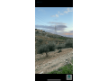 ktaah-ard-llbyaa-mn-almalk-mntkh-bdr-algdydh-small-0