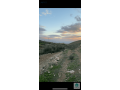 ktaah-ard-llbyaa-mn-almalk-mntkh-bdr-algdydh-small-1