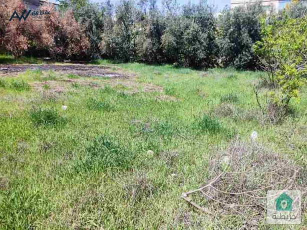 ard-fy-albnyat-1-donom-ghyr-mfrozh-olkn-mokaaha-maarof-o-msor-b-sor-big-2