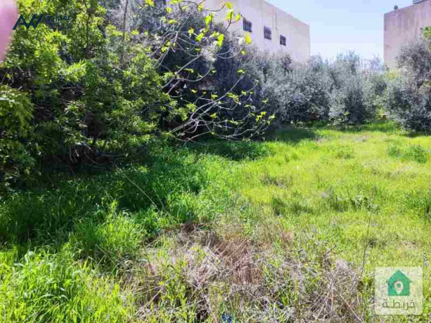 ard-fy-albnyat-1-donom-ghyr-mfrozh-olkn-mokaaha-maarof-o-msor-b-sor-big-1