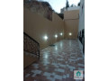 shk-llbyaa-fy-am-zoytyn-balkrb-mn-gamaa-alaalom-alttbyky-small-3