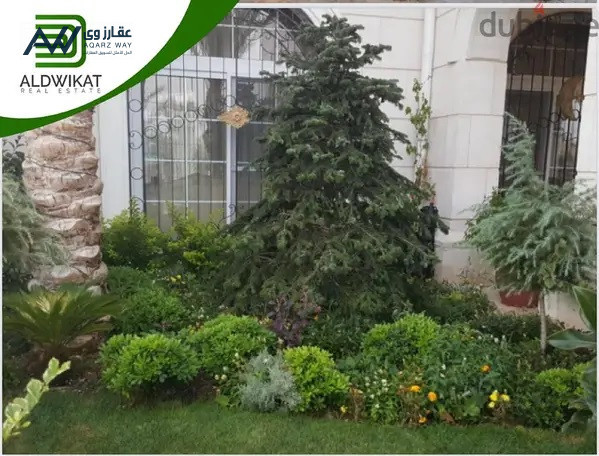 ksr-fkhm-mfrosh-llbyaa-fy-dabok-msah-alard-2920-m-msah-albnaaa-2400-m-big-1