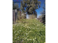 mokaa-hy-alkmaly-balkrb-mn-sharaa-aabd-alftah-hyasat-small-1