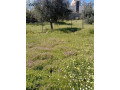 mokaa-hy-alkmaly-balkrb-mn-sharaa-aabd-alftah-hyasat-small-0